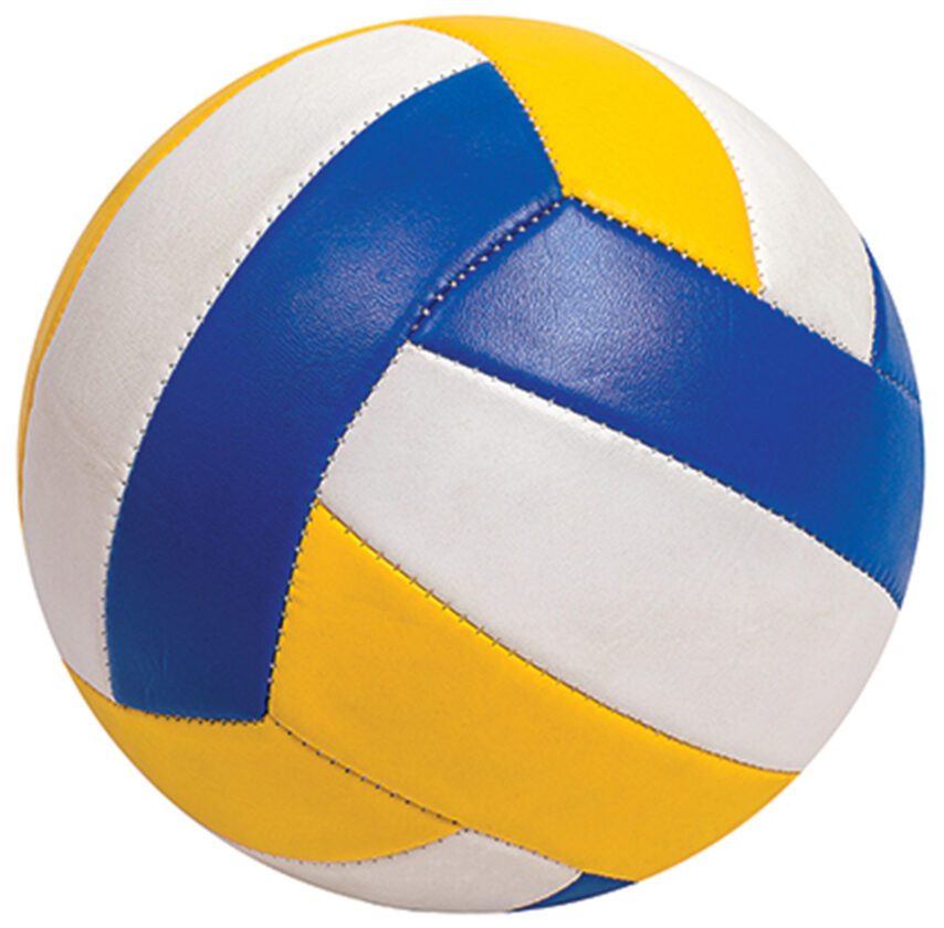 Verot Catholic High School announces charity volleyball event